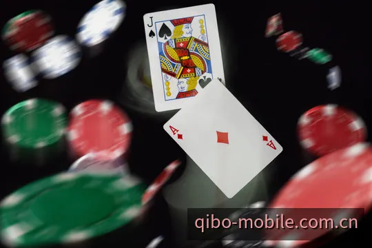 七博Web平台访问体验示意
